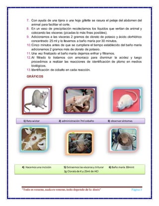 “Todo es veneno, nada es veneno, todo depende de la dosis” Página 3
7. Con ayuda de una tijera o una hoja gillette se rasu...