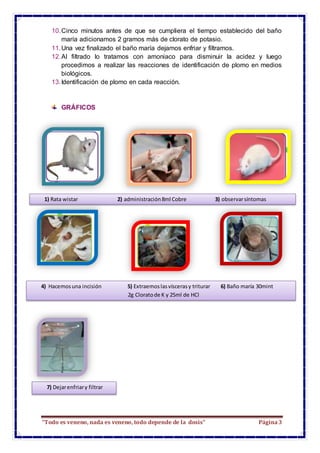 “Todo es veneno, nada es veneno, todo depende de la dosis” Página3
10.Cinco minutos antes de que se cumpliera el tiempo es...