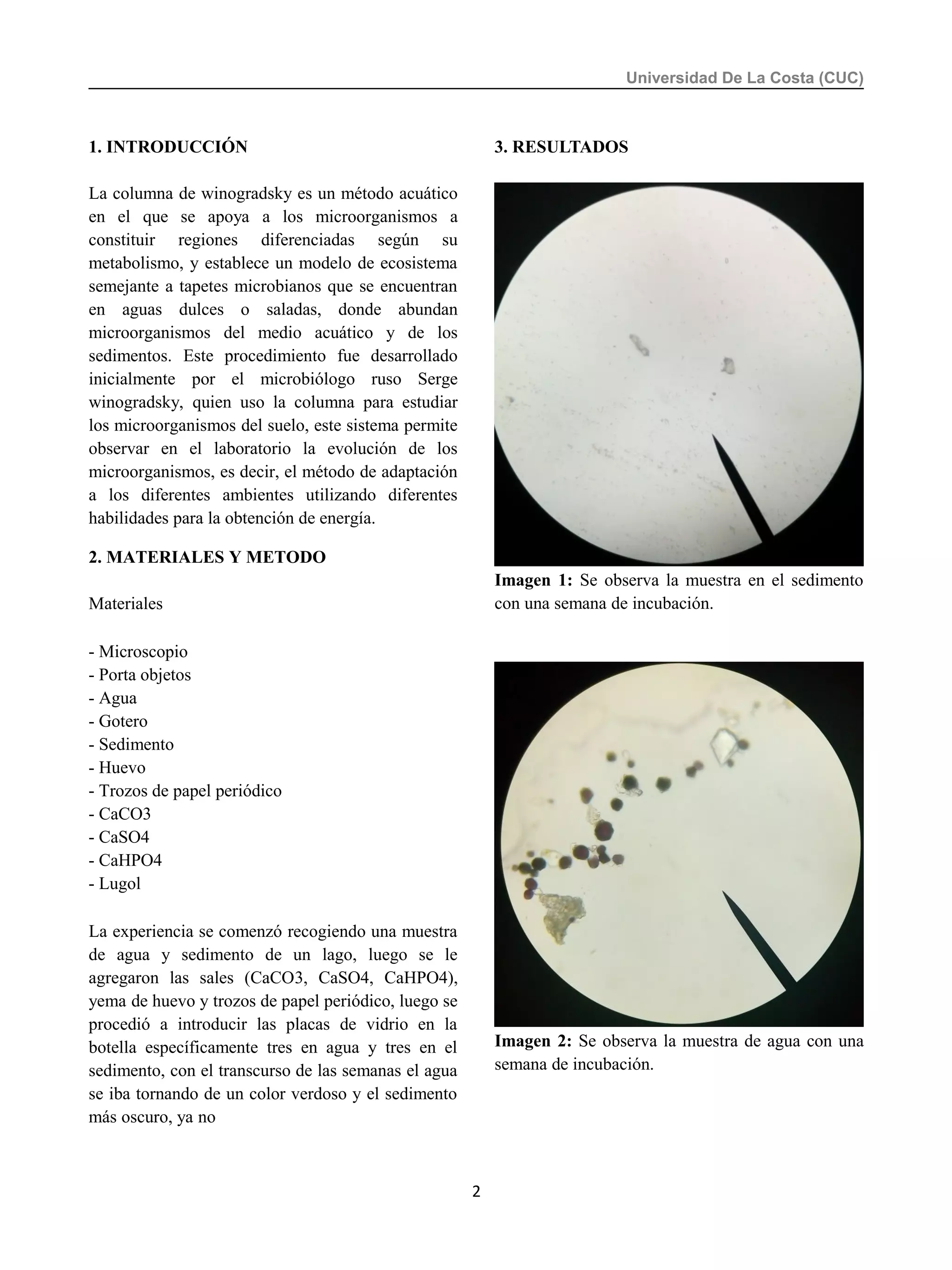 Informe columna winogradsky PDF
