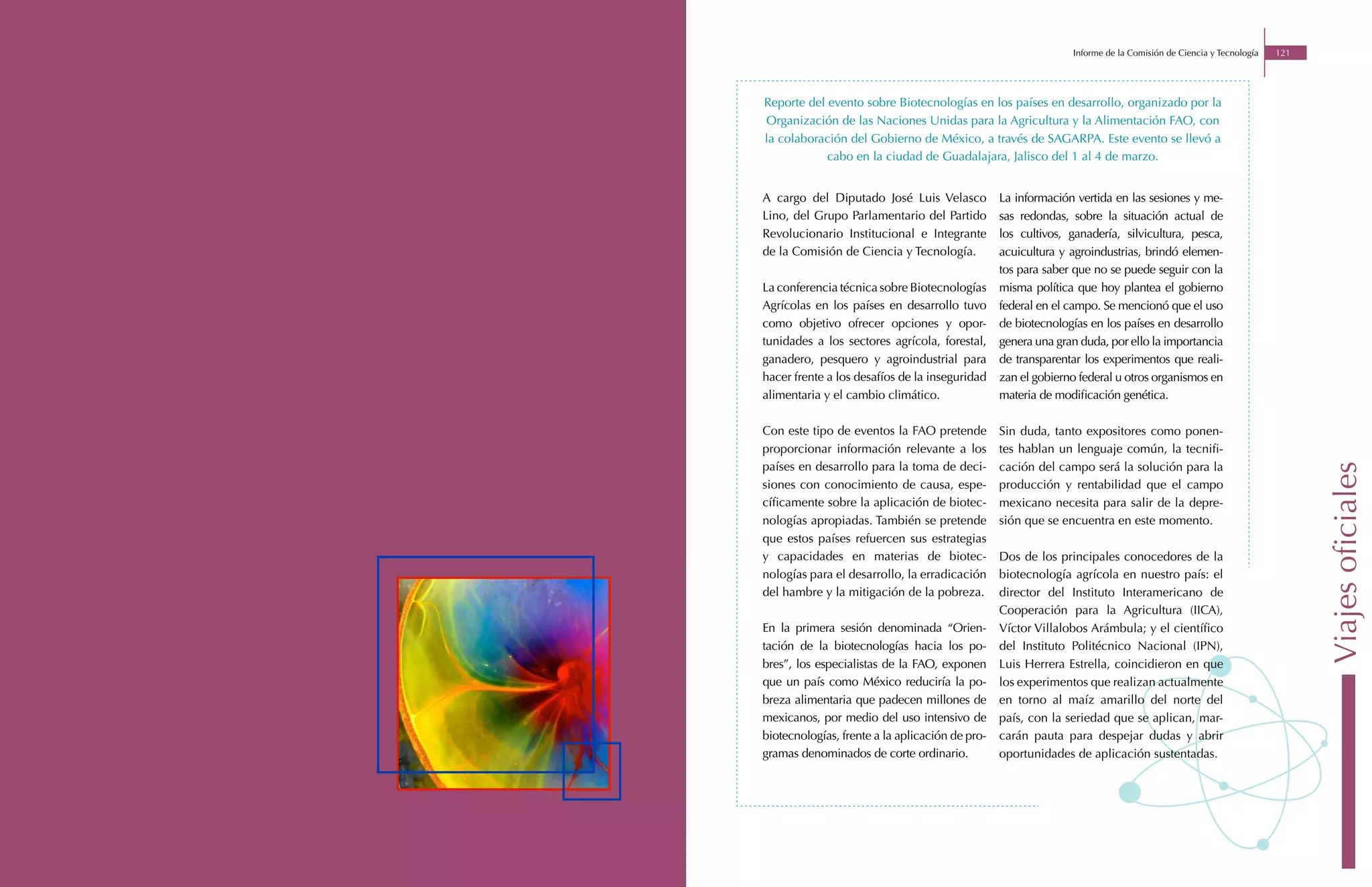 Informe de la Comisión de Ciencia y Tecnología   121




Reporte del evento sobre Biotecnologías en los países en desarrollo, organizado por la
Organización de las Naciones Unidas para la Agricultura y la Alimentación FAO, con
la colaboración del Gobierno de México, a través de SAGARPA. Este evento se llevó a
            cabo en la ciudad de Guadalajara, Jalisco del 1 al 4 de marzo.


A cargo del Diputado José Luis Velasco           La información vertida en las sesiones y me-
Lino, del Grupo Parlamentario del Partido        sas redondas, sobre la situación actual de
Revolucionario Institucional e Integrante        los cultivos, ganadería, silvicultura, pesca,
de la Comisión de Ciencia y Tecnología.          acuicultura y agroindustrias, brindó elemen-
                                                 tos para saber que no se puede seguir con la
La conferencia técnica sobre Biotecnologías      misma política que hoy plantea el gobierno
Agrícolas en los países en desarrollo tuvo       federal en el campo. Se mencionó que el uso
como objetivo ofrecer opciones y opor-           de biotecnologías en los países en desarrollo
tunidades a los sectores agrícola, forestal,     genera una gran duda, por ello la importancia
ganadero, pesquero y agroindustrial para         de transparentar los experimentos que reali-
hacer frente a los desafíos de la inseguridad    zan el gobierno federal u otros organismos en
alimentaria y el cambio climático.               materia de modificación genética.

Con este tipo de eventos la FAO pretende         Sin duda, tanto expositores como ponen-
proporcionar información relevante a los         tes hablan un lenguaje común, la tecnifi-
países en desarrollo para la toma de deci-       cación del campo será la solución para la




                                                                                                                      Viajes oficiales
siones con conocimiento de causa, espe-          producción y rentabilidad que el campo
cíficamente sobre la aplicación de biotec-       mexicano necesita para salir de la depre-
nologías apropiadas. También se pretende         sión que se encuentra en este momento.
que estos países refuercen sus estrategias
y capacidades en materias de biotec-             Dos de los principales conocedores de la
nologías para el desarrollo, la erradicación     biotecnología agrícola en nuestro país: el
del hambre y la mitigación de la pobreza.        director del Instituto Interamericano de
                                                 Cooperación para la Agricultura (IICA),
En la primera sesión denominada “Orien-          Víctor Villalobos Arámbula; y el científico
tación de la biotecnologías hacia los po-        del Instituto Politécnico Nacional (IPN),
bres”, los especialistas de la FAO, exponen      Luis Herrera Estrella, coincidieron en que
que un país como México reduciría la po-         los experimentos que realizan actualmente
breza alimentaria que padecen millones de        en torno al maíz amarillo del norte del
mexicanos, por medio del uso intensivo de        país, con la seriedad que se aplican, mar-
biotecnologías, frente a la aplicación de pro-   carán pauta para despejar dudas y abrir
gramas denominados de corte ordinario.           oportunidades de aplicación sustentadas.
 