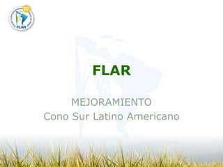 FLAR MEJORAMIENTO Cono Sur Latino Americano 