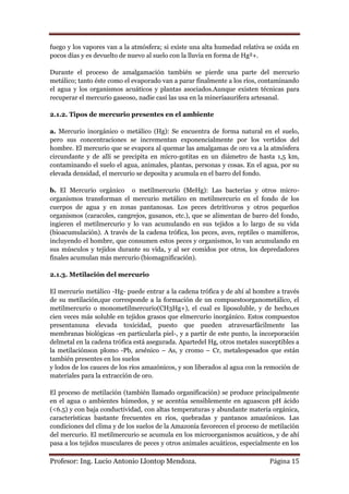 fuego y los vapores van a la atmósfera; si existe una alta humedad relativa se oxida en
pocos días y es devuelto de nuevo al suelo con la lluvia en forma de Hg²+.

Durante el proceso de amalgamación también se pierde una parte del mercurio
metálico; tanto éste como el evaporado van a parar finalmente a los ríos, contaminando
el agua y los organismos acuáticos y plantas asociados.Aunque existen técnicas para
recuperar el mercurio gaseoso, nadie casi las usa en la mineríaaurífera artesanal.

2.1.2. Tipos de mercurio presentes en el ambiente

a. Mercurio inorgánico o metálico (Hg): Se encuentra de forma natural en el suelo,
pero sus concentraciones se incrementan exponencialmente por los vertidos del
hombre. El mercurio que se evapora al quemar las amalgamas de oro va a la atmósfera
circundante y de allí se precipita en micro-gotitas en un diámetro de hasta 1,5 km,
contaminando el suelo el agua, animales, plantas, personas y cosas. En el agua, por su
elevada densidad, el mercurio se deposita y acumula en el barro del fondo.

b. El Mercurio orgánico o metilmercurio (MeHg): Las bacterias y otros micro-
organismos transforman el mercurio metálico en metilmercurio en el fondo de los
cuerpos de agua y en zonas pantanosas. Los peces detritívoros y otros pequeños
organismos (caracoles, cangrejos, gusanos, etc.), que se alimentan de barro del fondo,
ingieren el metilmercurio y lo van acumulando en sus tejidos a lo largo de su vida
(bioacumulación). A través de la cadena trófica, los peces, aves, reptiles o mamíferos,
incluyendo el hombre, que consumen estos peces y organismos, lo van acumulando en
sus músculos y tejidos durante su vida, y al ser comidos por otros, los depredadores
finales acumulan más mercurio (biomagnificación).

2.1.3. Metilación del mercurio

El mercurio metálico -Hg- puede entrar a la cadena trófica y de ahí al hombre a través
de su metilación,que corresponde a la formación de un compuestoorganometálico, el
metilmercurio o monometilmercurio(CH3Hg+), el cual es liposoluble, y de hecho,es
cien veces más soluble en tejidos grasos que elmercurio inorgánico. Estos compuestos
presentanuna elevada toxicidad, puesto que pueden atravesarfácilmente las
membranas biológicas -en particularla piel-, y a partir de este punto, la incorporación
delmetal en la cadena trófica está asegurada. Apartedel Hg, otros metales susceptibles a
la metilaciónson plomo -Pb, arsénico – As, y cromo – Cr, metalespesados que están
también presentes en los suelos
y lodos de los cauces de los ríos amazónicos, y son liberados al agua con la remoción de
materiales para la extracción de oro.

El proceso de metilación (también llamado organificación) se produce principalmente
en el agua o ambientes húmedos, y se acentúa sensiblemente en aguascon pH ácido
(<6.5) y con baja conductividad, con altas temperaturas y abundante materia orgánica,
características bastante frecuentes en ríos, quebradas y pantanos amazónicos. Las
condiciones del clima y de los suelos de la Amazonía favorecen el proceso de metilación
del mercurio. El metilmercurio se acumula en los microorganismos acuáticos, y de ahí
pasa a los tejidos musculares de peces y otros animales acuáticos, especialmente en los

Profesor: Ing. Lucio Antonio Llontop Mendoza.                                Página 15
 