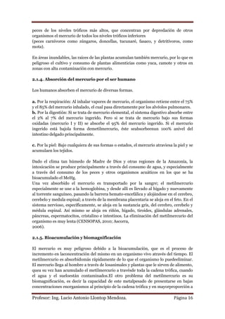 peces de los niveles tróficos más altos, que concentran por depredación de otros
organismos el mercurio de todos los niveles tróficos inferiores
(peces carnívoros como zúngaros, doncellas, tucunaré, fasaco, y detritívoros, como
mota).

En áreas inundables, las raíces de las plantas acumulan también mercurio, por lo que es
peligroso el cultivo y consumo de plantas alimenticias como yuca, camote y otros en
zonas con alta contaminación con mercurio.

2.1.4. Absorción del mercurio por el ser humano

Los humanos absorben el mercurio de diversas formas.

a. Por la respiración: Al inhalar vapores de mercurio, el organismo retiene entre el 75%
y el 85% del mercurio inhalado, el cual pasa directamente por los alvéolos pulmonares.
b. Por la digestión: Si se trata de mercurio elemental, el sistema digestivo absorbe entre
el 2% al 7% del mercurio ingerido. Pero si se trata de mercurio bajo sus formas
oxidadas (mercurio I y II) se absorbe el 95% del mercurio ingerido. Si el mercurio
ingerido está bajola forma demetilmercurio, éste seabsorbeenun 100% anivel del
intestino delgado principalmente.

c. Por la piel: Bajo cualquiera de sus formas o estados, el mercurio atraviesa la piel y se
acumulaen los tejidos.

Dado el clima tan húmedo de Madre de Dios y otras regiones de la Amazonía, la
intoxicación se produce principalmente a través del consumo de agua, y especialmente
a través del consumo de los peces y otros organismos acuáticos en los que se ha
bioacumulado el MeHg.
Una vez absorbido el mercurio es transportado por la sangre; el metilmercurio
especialmente se une a la hemoglobina, y desde allí es llevado al hígado y nuevamente
al torrente sanguíneo, pasando la barrera hemato-encefálica y alojándose en el cerebro,
cerebelo y medula espinal; a través de la membrana placentaria se aloja en el feto. En el
sistema nervioso, específicamente, se aloja en la sustancia gris, del cerebro, cerebelo y
médula espinal. Así mismo se aloja en riñón, hígado, tiroides, glándulas adrenales,
páncreas, espermatocitos, cristalino e intestinos. La eliminación del metilmercurio del
organismo es muy lenta (CENSOPAS, 2010; Ascorra,
2006).

2.1.5. Bioacumulación y biomagnificación

El mercurio es muy peligroso debido a la bioacumulación, que es el proceso de
incremento en laconcentración del mismo en un organismo vivo através del tiempo. El
metilmercurio es absorbidomás rápidamente de lo que el organismo lo puedeeliminar.
El mercurio llega al hombre a través de losanimales y plantas que le sirven de alimento,
quea su vez han acumulado el metilmercurio a travésde toda la cadena trófica, cuando
el agua y el sueloestán contaminados.El otro problema del metilmercurio es su
biomagnificación, es decir la capacidad de este metalpesado de presentarse en bajas
concentraciones enorganismos al principio de la cadena trófica y en mayorproporción a

Profesor: Ing. Lucio Antonio Llontop Mendoza.                                   Página 16
 
