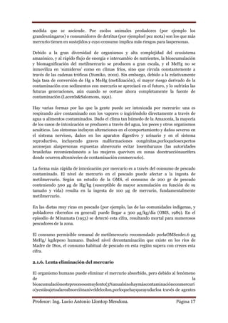 medida que se asciende. Por esolos animales predadores (por ejemplo los
grandeszúngaros) o consumidores de detritus (por ejemploel pez mota) son los que más
mercurio tienen en sustejidos y cuyo consumo implica más riesgos para laspersonas.

Debido a la gran diversidad de organismos y alta complejidad del ecosistema
amazónico, y al rápido flujo de energía e intercambio de nutrientes, la bioacumulación
y biomagnificación del metilmercurio se producen a gran escala, y el MeHg no se
inmoviliza en „sumideros‟ como en climas fríos, sino que circula constantemente a
través de las cadenas tróficas (Yumiko, 2001). Sin embargo, debido a la relativamente
baja tasa de conversión de Hg a MeHg (metilización), el mayor riesgo derivado de la
contaminación con sedimentos con mercurio se apreciará en el futuro, y lo sufrirán las
futuras generaciones, aún cuando se cortase ahora completamente la fuente de
contaminación (Lacerda&Salomons, 1991).

Hay varias formas por las que la gente puede ser intoxicada por mercurio: una es
respirando aire contaminado con los vapores o ingiriéndolo directamente a través de
agua u alimentos contaminados. Dado el clima tan húmedo de la Amazonía, la mayoría
de los casos de intoxicación se producen a través del agua, los peces y otros organismos
acuáticos. Los síntomas incluyen alteraciones en el comportamiento y daños severos en
el sistema nervioso, daños en los aparatos digestivo y urinario y en el sistema
reproductivo, incluyendo graves malformaciones congénitas,porloquelosexpertos
aconsejan alaspersonas expuestas almercurio evitar losembarazos (las autoridades
brasileñas recomiendanesto a las mujeres queviven en zonas deextracciónaurífera
donde ocurren altosniveles de contaminación conmercurio).

La forma más rápida de intoxicación por mercurio es a través del consumo de pescado
contaminado. El nivel de mercurio en el pescado puede afectar a la ingesta de
metilmercurio. Según un estudio de la OMS, el consumo de 200 gr de pescado
conteniendo 500 µg de Hg/kg (susceptible de mayor acumulación en función de su
tamaño y vida) resulta en la ingesta de 100 µg de mercurio, fundamentalmente
metilmercurio.

En las dietas muy ricas en pescado (por ejemplo, las de las comunidades indígenas, y
pobladores ribereños en general) puede llegar a 300 µg/kg/día (OMS, 1989). En el
episodio de Minamata (1953) se detectó esta cifra, resultando mortal para numerosos
pescadores de la zona.

El consumo permisible semanal de metilmercurio recomendado porlaOMSesde1.6 µg
MeHg/ kgdepeso humano. Dadoel nivel decontaminación que existe en los ríos de
Madre de Dios, el consumo habitual de pescado en esta región supera con creces esta
cifra.

2.1.6. Lenta eliminación del mercurio

El organismo humano puede eliminar el mercurio absorbido, pero debido al fenómeno
de                                                                               la
bioacumulaciónesteprocesoesmuylento(3%anualsinohaymáscontaminaciónconmercuri
o)yestásujetoalareabsorciónaniveldelcolon,porloquehayqueayudarloa través de agentes

Profesor: Ing. Lucio Antonio Llontop Mendoza.                                Página 17
 