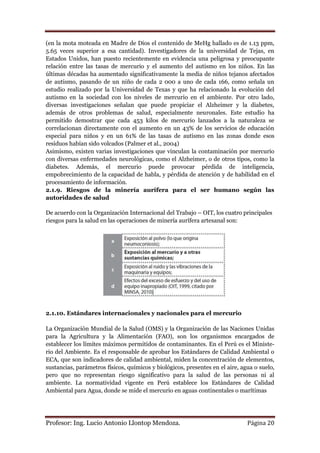 (en la mota moteada en Madre de Dios el contenido de MeHg hallado es de 1.13 ppm,
5.65 veces superior a esa cantidad). Investigadores de la universidad de Tejas, en
Estados Unidos, han puesto recientemente en evidencia una peligrosa y preocupante
relación entre las tasas de mercurio y el aumento del autismo en los niños. En las
últimas décadas ha aumentado significativamente la media de niños tejanos afectados
de autismo, pasando de un niño de cada 2 000 a uno de cada 166, como señala un
estudio realizado por la Universidad de Texas y que ha relacionado la evolución del
autismo en la sociedad con los niveles de mercurio en el ambiente. Por otro lado,
diversas investigaciones señalan que puede propiciar el Alzheimer y la diabetes,
además de otros problemas de salud, especialmente neuronales. Este estudio ha
permitido demostrar que cada 453 kilos de mercurio lanzados a la naturaleza se
correlacionan directamente con el aumento en un 43% de los servicios de educación
especial para niños y en un 61% de las tasas de autismo en las zonas donde esos
residuos habían sido volcados (Palmer et al., 2004)
Asimismo, existen varias investigaciones que vinculan la contaminación por mercurio
con diversas enfermedades neurológicas, como el Alzheimer, o de otros tipos, como la
diabetes. Además, el mercurio puede provocar pérdida de inteligencia,
empobrecimiento de la capacidad de habla, y pérdida de atención y de habilidad en el
procesamiento de información.
2.1.9. Riesgos de la minería aurífera para el ser humano según las
autoridades de salud

De acuerdo con la Organización Internacional del Trabajo – OIT, los cuatro principales
riesgos para la salud en las operaciones de minería aurífera artesanal son:




2.1.10. Estándares internacionales y nacionales para el mercurio

La Organización Mundial de la Salud (OMS) y la Organización de las Naciones Unidas
para la Agricultura y la Alimentación (FAO), son los organismos encargados de
establecer los límites máximos permitidos de contaminantes. En el Perú es el Ministe-
rio del Ambiente. Es el responsable de aprobar los Estándares de Calidad Ambiental o
ECA, que son indicadores de calidad ambiental, miden la concentración de elementos,
sustancias, parámetros físicos, químicos y biológicos, presentes en el aire, agua o suelo,
pero que no representan riesgo significativo para la salud de las personas ni al
ambiente. La normatividad vigente en Perú establece los Estándares de Calidad
Ambiental para Agua, donde se mide el mercurio en aguas continentales o marítimas




Profesor: Ing. Lucio Antonio Llontop Mendoza.                                  Página 20
 