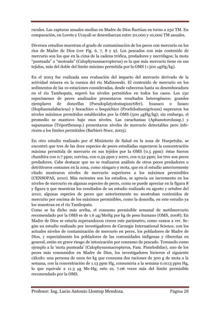 rurales. Las capturas anuales medias en Madre de Dios fluctúan en torno a 250 TM. En
comparación, en Loreto y Ucayali se desembarcan entre 20,000 y 10,000 TM anuales.

Diversos estudios muestran el grado de contaminación de los peces con mercurio en los
ríos de Madre de Dios (ver Fig. 6, 7, 8 y 9). Los pescados con más contenido de
mercurio son los que en la cima de la cadena trófica, predadores y necrófagos; la mota
“punteada” o “moteada” (Calophysusmacropterus) es la que más mercurio tiene en sus
tejidos, más del doble del límite máximo permitida por la OMS (<500 μgHg/kg).

En el 2003 fue realizada una evaluación del impacto del mercurio derivado de la
actividad minera en la cuenca del río Malinowski. El contenido de mercurio en los
sedimentos de las 10 estaciones consideradas, desde cabeceras hasta su desembocadura
en el río Tambopata, superó los niveles permitidos en todos los casos. Los 150
especímenes de peces analizados presentaron resultados heterogéneos; grandes
ejemplares de doncellas (Pseudoplatystomapunctifer), huasaco o fasaco
(Hopliasmalabaricus) y bocachico o boquichico (Prochilodusnigricans) superaron los
niveles máximos permitidos establecidos por la OMS (500 μgHg/kg); sin embargo, el
promedio se mantuvo bajo esos niveles. Las carachamas (Aphanotorolussp.) y
sapamamas (Triportheussp.) presentaron niveles de mercurio detectables pero infe-
riores a los límites permitidos (Barbieri-Noce, 2005).

En otro estudio realizado por el Ministerio de Salud en la zona de Huepetuhe, se
encontró que tres de las doce especies de peces estudiadas superaron la concentración
máxima permitida de mercurio en sus tejidos por la OMS (0.5 ppm): éstas fueron
chambira con 0.7 ppm; corvina, con 0.59 ppm y zorro, con 0.52 ppm; los tres son peces
predadores. Cabe destacar que no se realizaron análisis de otros peces predadores o
detritívoros comunes en la zona, como zúngaro y mota, que en el estudio anteriormente
citado mostraron niveles de mercurio superiores a los máximos permisibles
(CENSOPAS, 2010). Más recientes son los estudios, se aprecia un incremento en los
niveles de mercurio en algunas especies de peces, como se puede apreciar en la figura 8
y figura 9 que muestran los resultados de un estudio realizado en agosto y octubre del
2010; algunas especies de peces que anteriormente no mostraban contenidos de
mercurio por encima de los máximos permisibles, como la doncella, en este estudio ya
los muestran en el río Tambopata.
Como se ha dicho más arriba, el consumo permisible semanal de metilmercurio
recomendado por la OMS es de 1.6 μg/MeHg por kg de peso humano (OMS, 2008). En
Madre de Dios se estaría superandocon creces este parámetro, como vamos a ver. Se-
gún un estudio realizado por investigadores de Carnegie International Science, con los
actuales niveles de contaminación de mercurio en peces, los pobladores de Madre de
Dios, y especialmente los pobladores de las comunidades indígenas y ribereñas en
general, están en grave riesgo de intoxicación por consumo de pescado. Tomando como
ejemplo a la „mota punteada‟ (Calophysusmacropterus, Fam. Pimelodidae), uno de los
peces más consumidos en Madre de Dios, los investigadores hicieron el siguiente
cálculo: una persona de unos 60 kg que consuma dos raciones de 300 g de mota a la
semana, con la concentración de 1.13 ppm Hg, consumiría a la semana 0.0113 ppm Hg,
lo que equivale a 11.3 μg Me-Hg; esto es, 7.06 veces más del límite permisible
recomendado por la OMS.



Profesor: Ing. Lucio Antonio Llontop Mendoza.                               Página 28
 