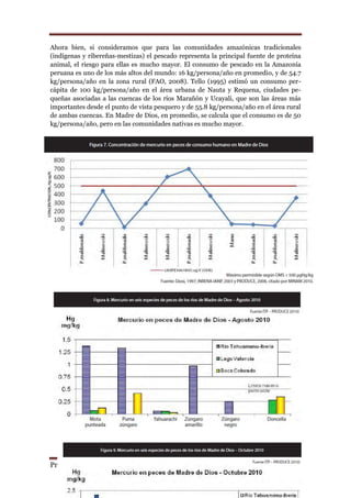 Ahora bien, si consideramos que para las comunidades amazónicas tradicionales
(indígenas y ribereñas-mestizas) el pescado representa la principal fuente de proteína
animal, el riesgo para ellas es mucho mayor. El consumo de pescado en la Amazonía
peruana es uno de los más altos del mundo: 16 kg/persona/año en promedio, y de 54.7
kg/persona/año en la zona rural (FAO, 2008). Tello (1995) estimó un consumo per-
cápita de 100 kg/persona/año en el área urbana de Nauta y Requena, ciudades pe-
queñas asociadas a las cuencas de los ríos Marañón y Ucayali, que son las áreas más
importantes desde el punto de vista pesquero y de 55.8 kg/persona/año en el área rural
de ambas cuencas. En Madre de Dios, en promedio, se calcula que el consumo es de 50
kg/persona/año, pero en las comunidades nativas es mucho mayor.




Profesor: Ing. Lucio Antonio Llontop Mendoza.                              Página 29
 