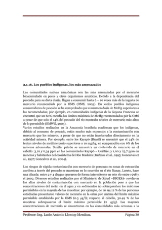 2.1.16. Los pueblos indígenas, los más amenazados

Las comunidades nativas amazónicas son las más amenazadas por el mercurio
bioacumulado en peces y otros organismos acuáticos. Debido a la dependencia del
pescado para su dieta diaria, llegan a consumir hasta 6 – 10 veces más de la ingesta de
mercurio recomendada por la OMS (OMS, 2003). En varios pueblos indígenas
consumidores de pescado se ha comprobado que consumen dosis de MeHg superiores a
las recomendadas; por ejemplo, en comunidades indígenas de la Guyana Francesa se
encontró que un 60% excedía los límites máximos de MeHg recomendados por la OMS
a pesar de que solo el 14% del pescado del río mostraba niveles de mercurio más altos
de lo permisible (BMWG, 2003).
Varios estudios realizados en la Amazonía brasileña confirman que los indígenas,
debido al consumo de pescado, están mucho más expuestos a la contaminación con
mercurio que los mineros, a pesar de que no están involucrados directamente en la
actividad minera. Por ejemplo, entre los Kayapó (Brasil) se encontró que el 24% de
tenían niveles de metilmercurio superiores a 10 mg/kg, en comparación con 6% de los
mineros artesanales. Similar patrón se encuentra en contenido de mercurio en el
cabello: 3,10 y 6,34 ppm en las comunidades Kayapó – Goritire, y 1,00 y 23,7 ppm en
mineros y habitantes del ecosistema del Rio Madeira (Barbosa et al., 1995; Goncalves et
al., 1997; Goncalves et al., 2004).

Los riesgos de rápida contaminación con mercurio de personas en zonas de extracción
aurífera a través del pescado se muestran en lo ocurrido en el río Nanay, Loreto, hace
una década: entre 2 y 4 dragas operaron de forma intermitente en este río entre 1998 y
el 2002. Diversos estudios realizados por el Ministerio de Salud –DIGESA- revelaron
los altos niveles de contaminación con mercurio en la población pese a que las
concentraciones del metal en el agua y en sedimentos no sobrepasaban los máximos
permisibles en la mayoría de las muestras: por ejemplo, de las 94.12 % de las personas
estudiadas presentaron valores de mercurio en la orina por encima del límite máximo
permisible establecido por la OMS (0.5 μg/l); respecto al cabello, 30.49 % de las
muestras sobrepasaron el límite máximo permisible (2 μg/g). Las mayores
concentraciones de mercurio se encontraron en las comunidades más cercanas a la

Profesor: Ing. Lucio Antonio Llontop Mendoza.                               Página 30
 