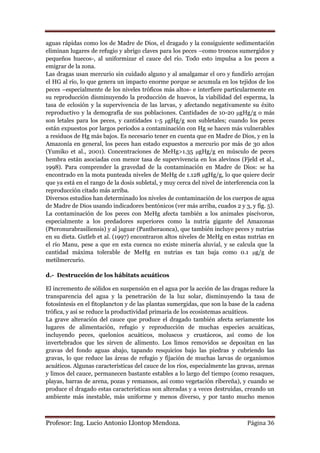 aguas rápidas como los de Madre de Dios, el dragado y la consiguiente sedimentación
eliminan lugares de refugio y abrigo claves para los peces –como troncos sumergidos y
pequeños huecos-, al uniformizar el cauce del río. Todo esto impulsa a los peces a
emigrar de la zona.
Las dragas usan mercurio sin cuidado alguno y al amalgamar el oro y fundirlo arrojan
el HG al río, lo que genera un impacto enorme porque se acumula en los tejidos de los
peces –especialmente de los niveles tróficos más altos- e interfiere particularmente en
su reproducción disminuyendo la producción de huevos, la viabilidad del esperma, la
tasa de eclosión y la supervivencia de las larvas, y afectando negativamente su éxito
reproductivo y la demografía de sus poblaciones. Cantidades de 10-20 μgHg/g o más
son letales para los peces, y cantidades 1-5 μgHg/g son subletales; cuando los peces
están expuestos por largos periodos a contaminación con Hg se hacen más vulnerables
a residuos de Hg más bajos. Es necesario tener en cuenta que en Madre de Dios, y en la
Amazonía en general, los peces han estado expuestos a mercurio por más de 30 años
(Yumiko et al., 2001). Concentraciones de MeHg>1.35 μgHg/g en músculo de peces
hembra están asociadas con menor tasa de supervivencia en los alevinos (Fjeld et al.,
1998). Para comprender la gravedad de la contaminación en Madre de Dios: se ha
encontrado en la mota punteada niveles de MeHg de 1.128 μgHg/g, lo que quiere decir
que ya está en el rango de la dosis subletal, y muy cerca del nivel de interferencia con la
reproducción citado más arriba.
Diversos estudios han determinado los niveles de contaminación de los cuerpos de agua
de Madre de Dios usando indicadores bentónicos (ver más arriba, cuados 2 y 3, y fig. 5).
La contaminación de los peces con MeHg afecta también a los animales piscívoros,
especialmente a los predadores superiores como la nutria gigante del Amazonas
(Pteronurabrasiliensis) y al jaguar (Pantheraonca), que también incluye peces y nutrias
en su dieta. Gutleb et al. (1997) encontraron altos niveles de MeHg en estas nutrias en
el río Manu, pese a que en esta cuenca no existe minería aluvial, y se calcula que la
cantidad máxima tolerable de MeHg en nutrias es tan baja como 0.1 μg/g de
metilmercurio.

d.- Destrucción de los hábitats acuáticos

El incremento de sólidos en suspensión en el agua por la acción de las dragas reduce la
transparencia del agua y la penetración de la luz solar, disminuyendo la tasa de
fotosíntesis en el fitoplancton y de las plantas sumergidas, que son la base de la cadena
trófica, y así se reduce la productividad primaria de los ecosistemas acuáticos.
La grave alteración del cauce que produce el dragado también afecta seriamente los
lugares de alimentación, refugio y reproducción de muchas especies acuáticas,
incluyendo peces, quelonios acuáticos, moluscos y crustáceos, así como de los
invertebrados que les sirven de alimento. Los limos removidos se depositan en las
gravas del fondo aguas abajo, tapando resquicios bajo las piedras y cubriendo las
gravas, lo que reduce las áreas de refugio y fijación de muchas larvas de organismos
acuáticos. Algunas características del cauce de los ríos, especialmente las gravas, arenas
y limos del cauce, permanecen bastante estables a lo largo del tiempo (como resaques,
playas, barras de arena, pozas y remansos, así como vegetación ribereña), y cuando se
produce el dragado estas características son alteradas y a veces destruidas, creando un
ambiente más inestable, más uniforme y menos diverso, y por tanto mucho menos



Profesor: Ing. Lucio Antonio Llontop Mendoza.                                   Página 36
 
