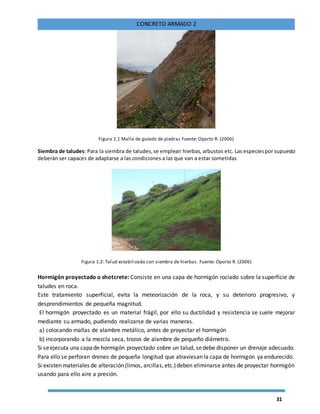 31
CONCRETO ARMADO 2
Figura 1.1 Malla de guiado de piedras Fuente: Oporto R. (2006)
Siembra de taludes: Para la siembra de taludes,se emplean hierbas, arbustos etc. Las especiespor supuesto
deberán ser capaces de adaptarse a las condiciones a las que van a estar sometidas
Figura 1.2: Talud estabilizado con siembra de hierbas. Fuente: Oporto R. (2006)
Hormigón proyectado o shotcrete: Consiste en una capa de hormigón rociado sobre la superficie de
taludes en roca.
Este tratamiento superficial, evita la meteorización de la roca, y su deterioro progresivo, y
desprendimientos de pequeña magnitud.
El hormigón proyectado es un material frágil, por ello su ductilidad y resistencia se suele mejorar
mediante su armado, pudiendo realizarse de varias maneras.
a) colocando mallas de alambre metálico, antes de proyectar el hormigón
b) incorporando a la mezcla seca, trozos de alambre de pequeño diámetro.
Si seejecuta una capade hormigón proyectado sobre un talud, sedebe disponer un drenaje adecuado.
Para ello se perforan drenes de pequeña longitud que atraviesan la capa de hormigón ya endurecido.
Si existen materiales de alteración (limos, arcillas,etc.)deben eliminarse antes de proyectar hormigón
usando para ello aire a presión.
 