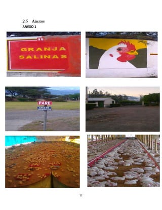 2.6 Anexos
ANEXO 1

11

 