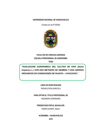 1
UNIVERSIDAD NACIONAL DE HUANCAVELICA
(Creada por ley N°25265)
FACULTAD DE CIENCIAS AGRARIAS
ESCUELA PROFESIONAL DE AGRONOMÍA
TESIS
LÍNEA DE INVESTIGACION
PRODUCCIÓN AGRICOLA
PARA OPTAR EL TITULO PROFESIONAL DE
INGENIERO AGRÓNOMO
PRESENTADO POR EL BACHILLER:
RAMOS QUISPE, Nelson
ACOBAMBA – HUANCAVELICA
2016
“EVALUACION AGRONOMICA DEL CULTIVO DE CHIA (Salvia
hispánica L.) CON DOS METODOS DE SIEMBRA Y DOS ABONOS
ORGANICOS EN CONDICIONES DE HUANTA – AYACUCHO.”
 