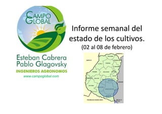Informe semanal del
estado de los cultivos.
(02 al 08 de febrero)

www.campoglobal.com

 