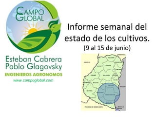 Informe semanal del
estado de los cultivos.
(9 al 15 de junio)
www.campoglobal.com
 