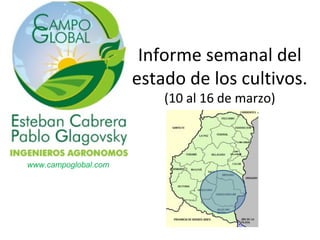 Informe semanal del
                      estado de los cultivos.
                          (10 al 16 de marzo)



www.campoglobal.com
 