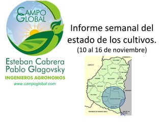 Informe semanal del
estado de los cultivos.
(10 al 16 de noviembre)

www.campoglobal.com

 