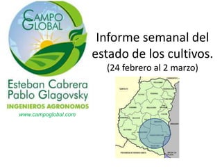 Informe semanal del
                      estado de los cultivos.
                        (24 febrero al 2 marzo)



www.campoglobal.com
 
