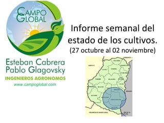 Informe semanal del
estado de los cultivos.
(27 octubre al 02 noviembre)

www.campoglobal.com

 