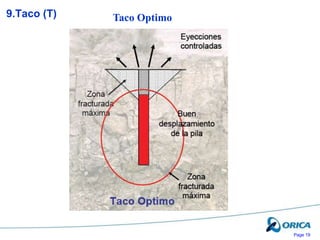 Page 19
Taco Optimo
9.Taco (T)
 