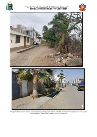 “Año del Fortalecimiento de la Soberanía Nacional”
MUNICIPALIDAD DISTRITAL DE PUNTA DE BOMBON
Fotografía 8: Se muestra arboles existentes en las calles 5 y calle 3. En la calle 3 el árbol esta interrumpiendo la circulación
peatonal y en la calle 5 interrumpe la circulación de la vía.
 