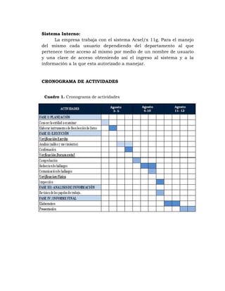 Informe de auditoria | PDF