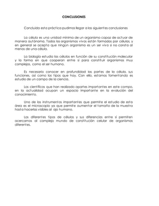 CONCLUSIONES
Concluida esta práctica pudimos llegar a las siguientes conclusiones
La célula es una unidad mínima de un organismo capaz de actuar de
manera autónoma. Todos los organismos vivos están formados por células, y
en general se acepta que ningún organismo es un ser vivo si no consta al
menos de una célula.
La biología estudia las células en función de su constitución molecular
y la forma en que cooperan entre sí para constituir organismos muy
complejos, como el ser humano.
Es necesario conocer en profundidad las partes de la célula, sus
funciones, así como los tipos que hay. Con ello, estamos fomentando es
estudio de un campo de la ciencia.
Los científicos que han realizado aportes importantes en este campo,
en la actualidad ocupan un espacio importante en la evolución del
conocimiento.
Uno de los instrumentos importantes que permite el estudio de esta
área es el microscopio ya que permite aumentar el tamaño de la muestra
hasta hacerlas visibles al ojo humano.
Los diferentes tipos de células y sus diferencias entre sí permiten
acercarnos al complejo mundo de constitución celular de organismos
diferentes.
 