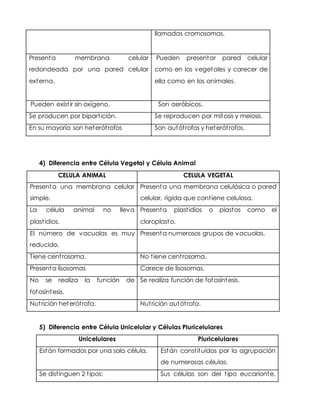 4) Diferencia entre Célula Vegetal y Célula Animal
CELULA ANIMAL CELULA VEGETAL
Presenta una membrana celular
simple.
Presenta una membrana celulósica o pared
celular, rígida que contiene celulosa.
La célula animal no lleva
plastidios.
Presenta plastidios o plastos como el
cloroplasto.
El número de vacuolas es muy
reducido.
Presenta numerosos grupos de vacuolas.
Tiene centrosoma. No tiene centrosoma.
Presenta lisosomas Carece de lisosomas.
No se realiza la función de
fotosíntesis.
Se realiza función de fotosíntesis.
Nutrición heterótrofa. Nutrición autótrofa.
5) Diferencia entre Célula Unicelular y Células Pluricelulares
Unicelulares Pluricelulares
Están formados por una sola célula. Están constituidos por la agrupación
de numerosas células.
Se distinguen 2 tipos: Sus células son del tipo eucarionte,
llamadas cromosomas.
Presenta membrana celular
redondeada por una pared celular
externa.
Pueden presentar pared celular
como en los vegetales y carecer de
ella como en los animales.
Pueden existir sin oxígeno. Son aeróbicos.
Se producen por bipartición. Se reproducen por mitosis y meiosis.
En su mayoría son heterótrofos Son autótrofos y heterótrofos.
 