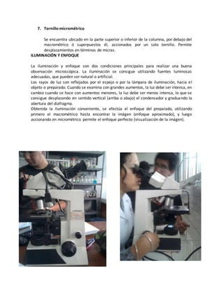 7. Tornillo micrométrico 
Se encuentra ubicado en la parte superior o inferior de la columna, por debajo del 
macrométrico ó superpuestos él, accionados por un solo tornillo. Permite 
desplazamientos en términos de micras. 
ILUMINACIÓN Y ENFOQUE 
La iluminación y enfoque son dos condiciones principales para realizar una buena 
observación microscópica. La iluminación se consigue utilizando fuentes luminosas 
adecuadas, que pueden ser natural o artificial. 
Los rayos de luz son reflejados por el espejo o por la lámpara de iluminación, hacia el 
objeto o preparado. Cuando se examina con grandes aumentos, la luz debe ser intensa, en 
cambio cuando se hace con aumentos menores, la luz debe ser menos intensa, lo que se 
consigue desplazando en sentido vertical (arriba o abajo) el condensador y graduando la 
abertura del diafragma. 
Obtenida la iluminación conveniente, se efectúa el enfoque del preparado, utilizando 
primero el macrométrico hasta encontrar la imágen (enfoque aproximado), y luego 
accionando en micrométrico permite el enfoque perfecto (visualización de la imágen). 
 