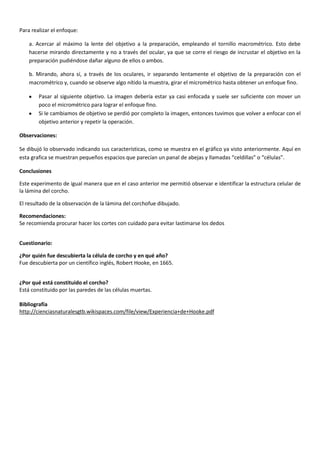 Para realizar el enfoque:
a. Acercar al máximo la lente del objetivo a la preparación, empleando el tornillo macrométrico. Esto debe
hacerse mirando directamente y no a través del ocular, ya que se corre el riesgo de incrustar el objetivo en la
preparación pudiéndose dañar alguno de ellos o ambos.
b. Mirando, ahora sí, a través de los oculares, ir separando lentamente el objetivo de la preparación con el
macrométrico y, cuando se observe algo nítido la muestra, girar el micrométrico hasta obtener un enfoque fino.
Pasar al siguiente objetivo. La imagen debería estar ya casi enfocada y suele ser suficiente con mover un
poco el micrométrico para lograr el enfoque fino.
Si le cambiamos de objetivo se perdió por completo la imagen, entonces tuvimos que volver a enfocar con el
objetivo anterior y repetir la operación.
Observaciones:
Se dibujó lo observado indicando sus características, como se muestra en el gráfico ya visto anteriormente. Aquí en
esta grafica se muestran pequeños espacios que parecían un panal de abejas y llamadas “celdillas” o “células”.
Conclusiones
Este experimento de igual manera que en el caso anterior me permitió observar e identificar la estructura celular de
la lámina del corcho.
El resultado de la observación de la lámina del corchofue dibujado.
Recomendaciones:
Se recomienda procurar hacer los cortes con cuidado para evitar lastimarse los dedos
Cuestionario:
¿Por quién fue descubierta la célula de corcho y en qué año?
Fue descubierta por un científico inglés, Robert Hooke, en 1665.
¿Por qué está constituido el corcho?
Está constituido por las paredes de las células muertas.
Bibliografía
http://cienciasnaturalesgtb.wikispaces.com/file/view/Experiencia+de+Hooke.pdf
 