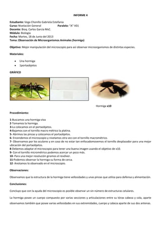 INFORME 4
Estudiante: Vega Chonillo Gabriela Estefania
Curso: Nivelación General Paralelo: “A” V01
Docente: Bioq. Carlos García MsC.
Módulo: Biología
Fecha: Martes, 18 de Junio del 2013
Tema: Observación de Microorganismos Animales (hormiga)
Objetivo: Mejor manipulación del microscopio para así observar microorganismos de distintas especies.
Materiales:
Una hormiga
1portaobjetos
GRÁFICO
Hormiga x10
Procedimiento:
1-Buscamos una hormiga viva
2-Tomamos la hormiga.
3-La colocamos en el portaobjetos.
4-Bajamos con el tornillo macro métrico la platina.
5- Abrimos las pinzas y colocamos el portaobjetos.
6- Encendemos el microscopio y nivelamos otra vez con el tornillo macrométrico.
7- Observamos por los oculares y en caso de no estar tan enfocadomovemos el tornillo desplazador para una mejor
ubicación del portaobjetos.
8-Debemos adaptar el microscopio para tener una buena imagen usando el objetivo de x10.
9- Con el tornillo micrométrico podemos acercar un poco más.
10- Para una mejor resolución giramos el revólver.
11-Podemos observar la hormiga su forma de cerca.
12- Anotamos lo observado en el microscopio.
Observaciones:
Observamos que la estructura de la hormiga tiene vellosidades y unas pinzas que utiliza para defensa y alimentación.
Conclusiones:
Concluyo que con la ayuda del microscopio es posible observar un sin número de estructuras celulares.
La hormiga posee un cuerpo compuesto por varias secciones y articulaciones entre su tórax cabeza y cola, aparte
observamos también que posee varias vellosidades en sus extremidades, cuerpo y cabeza aparte de sus dos antenas.
 