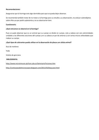 Recomendaciones:
Asegurarse que la hormiga este algo dormidita para que se pueda dejar observar.
Se recomienda también tratar de no matar a la hormiga para su estudio y su observación, no colocar cubreobjetos
sobre ellas ya que podría aplastarlas y no se observarían bien.
Cuestionario:
¿Qué estructura se observó en la hormiga?
Pues se pudo observar que es un animal que su cuerpo se divide en cuerpo, cola y cabeza con seis extremidades
unidades a las diferentes secciones del cuerpo y en su cabeza un par de antenas y con varios micros vellosidades que
rodean su cuerpo.
¿Qué tipos de colorantes puedo utilizar en la observación de placas con célula animal?
Azul de metileno
Yodo
Violeta de genciana
BIBLIOGRAFIA:
http://www.microinmuno.qb.fcen.uba.ar/SeminarioTinciones.htm
http://conlosojosdelmicroscopio.blogspot.com/2011/03/blog-post.html
 