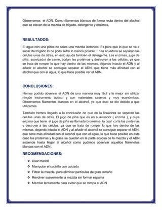 Observamos el ADN. Como filamentos blancos de forma recta dentro del alcohol
que se elevan de la mezcla de hígado, detergente y enzimas.

RESULTADOS:
El agua con una pizca de sales una mezcla isotónica. Es para que lo que se va a
sacar del hígado lo de pollo sufra lo menos posible. En la licuadora se separan las
células unas de otras, en esto ayuda también el detergente. Las enzimas, jugo de
piña, suavizador de carne, cortan las proteínas y destruyen a las células, ya que
se trata de romper lo que hay dentro de las mismas, dejando intacto el ADN y al
añadir el alcohol se consigue separar el ADN, que tiene más afinidad con el
alcohol que con el agua, lo que hace posible ver el ADN.

CONCLUSIONES:
Hemos podido observar el ADN de una manera muy fácil y lo mejor sin utilizar
ningún instrumento óptico, y con materiales caseros y muy económicos.
Observamos filamentos blancos en el alcohol, ya que esto se dio debido a que
utilizamos
También hemos llegado a la conclusión de que en la licuadora se separan las
células unas de otras. El jugo de piña que es un suavisador ( enzima ), y cuya
enzima que tiene el jugo de piña es llamada bromelina, la cual corta las proteínas
y destruye a las células, ya que se trata de romper lo que hay dentro de las
mismas, dejando intacto el ADN y al añadir el alcohol se consigue separar el ADN,
que tiene más afinidad con el alcohol que con el agua, lo que hace posible en este
caso las proteínas y la grasa se quedan en la parte acuosa de la mezcla y el ADN
asciende hasta llegar al alcohol como pudimos observar aquellos filamnetos
blancos son el ADN .

RECOMENDACIONES:
 Usar mandil
 Manipular el cuchillo con cuidado
 Filtrar la mezcla, para eliminar partículas de gran tamaño
 Revolver suavemente la mezcla sin formar espuma
 Mezclar lentamente para evitar que se rompa el ADN

 