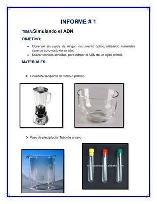 INFORME # 1
TEMA:Simulando

el ADN

OBJETIVO:
Observar sin ayuda de ningún instrumento óptico, utilizando materiales
caseros cuyo costo no es alto.
Utilizar técnicas sencillas, para extraer el ADN de un tejido animal.

MATERIALES:

 LicuadoraRecipiente de vidrio o plástico

 Vaso de precipitaciónTubo de ensayo

 