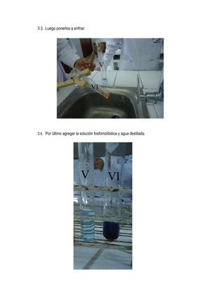 3.3. Luego ponerlos a enfriar.

3.4. Por último agregar la solución fosfomolíbdica y agua destilada.

 