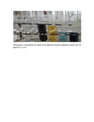 (Concluyendo y demostrando los colores de los diferentes procesos realizados tomando color los
tubos III, IV, V y VI)

 