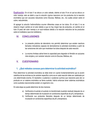Explicación: En el tubo V se obtuvo un color celeste, distinto al tubo VI en el cual se obtuvo un
color naranja, esto se debió a que la solución cúprica reacciono con los productos de la reacción
enzimática que son azucares reductores como Glucosa, Maltosa, etc., los cuales actúan sobre el
cobre, reduciéndolo.
Al agregar la solución fosfomolíbdica ocurren diferentes cosas en los tubos. En el tubo V no se
observo ningún cambio en el color debido a que no hay ningún tipo de productos, en cambio en el
tubo VI paso del color naranja a un azul-violáceo debido a la reacción reductora de los productos
sobre el molibdeno (azul de molibdeno).

IV.

CONCLUSIONES




V.

La presente práctica de laboratorio nos permitió determinar que existen reactivos
llamados indicadores capaces de demostrarnos la actividad enzimática a partir de
las variaciones del color que mostraban los tubos después de cada reacción.
La enzima Amilasa salival tiene la capacidad para degradar el Almidón en azúcares
más simples y con carácter reductor como la Glucosa, Maltosa, etc.

CUESTIONARIO

1. ¿Qué métodos conoces para determinar la actividad enzimática?
Para determinar la actividad enzimática se debe tener en cuenta fundamentalmente que la acción
catalítica de las enzimas es de carácter especifico como es en cada reacción debe ser catalizada por
una determinada enzima. El reactante o sustancia o sustancia química que reacciona para dar un
producto en un sistema enzimático se llama sustrato, habría entonces tener sistemas enzimáticos
como sustratos reaccionantes existen un organismo vivo.
En esta etapa se puede determinar de dos maneras:
a) Verificando el sustrato el sustrato no transformado (sustrato residual) después de un
tiempo determinado de incubación en condiciones especificas de pH y temperatura.
b) Verificando sus productos liberados después de un tiempo determinado de
incubación en condiciones especificas de pH y temperatura.

 