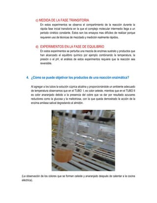 c) MEDIDA DE LA FASE TRANSITORIA
En estos experimentos se observa el compartimiento de la reacción durante la
rápida fase inicial transitoria en la que el complejo molecular intermedio llega a un
periodo cinético constante. Estos son los ensayos mas difíciles de realizar porque
requieren uso de técnicas de mezclado y medición realmente rápidos.

d) EXPERIMENTOS EN LA FASE DE EQUILIBRIO
En estos experimentos se perturba una mezcla de enzimas sustrato y productos que
han alcanzado el equilibrio químico por ejemplo combinando la temperatura, la
presión o el pH, el análisis de estos experimentos requiere que la reacción sea
reversible.

4. ¿Cómo se puede objetivar los productos de una reacción enzimática?
Al agregar a los tubos la solución cúprica alcalina y proporcionándole un ambiente adecuado
de temperatura observamos que en el TUBO I, es color celeste, mientras que en el TUBO II
es color anaranjado debido a la presencia del cobre que va dar por resultado azucares
reductores como la glucosa y la maltotriosa, con la que queda demostrado la acción de la
enzima amilasa salival degradando al almidón.

(La observación de los colores que se forman celeste y anaranjado después de calentar a la cocina
eléctrica).

 