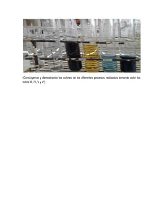 (Concluyendo y demostrando los colores de los diferentes procesos realizados tomando color los
tubos III, IV, V y VI)

 