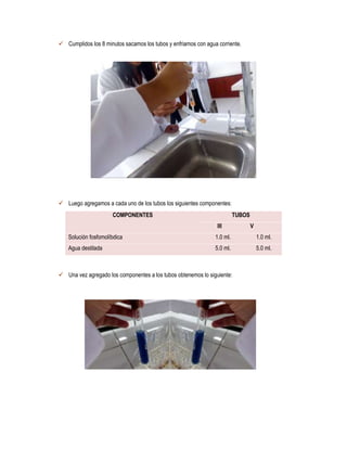  Cumplidos los 8 minutos sacamos los tubos y enfriamos con agua corriente.

 Luego agregamos a cada uno de los tubos los siguientes componentes:
COMPONENTES

TUBOS
III

V

Solución fosfomolíbdica

1.0 ml.

1.0 ml.

Agua destilada

5.0 ml.

5.0 ml.

 Una vez agregado los componentes a los tubos obtenemos lo siguiente:

 