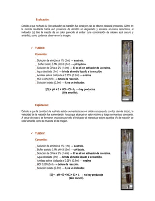 Explicación:
Debido a que no hubo Cl (ión activador) la reacción fue lenta por eso se obtuvo escasos productos. Como en
la mezcla resultante había aun presencia de almidón no degradado y escasos azucares reductores, el
indicador (I2) tiño la mezcla de un color parecido al ambar (una combinación de colores azul oscuro y
amarillo), como podemos observar en la imagen.

 TUBO III:
Contenido:
_ Solución de almidón al 1% (2ml) → sustrato.
_ Buffer fosfato 0.1M pH 6.6 (5ml) → pH óptimo.
_ Solución de ClNa al 2% (1.4ml) → Cl es el ión activador de la enzima.
_ Agua destilada (1ml) → brinda el medio líquido a la reacción.
_ Amilasa salival dializada al 0.25% (0.6ml) → enzima
_ HCl 0.05N (5ml) → detiene la reacción.
_ Solución iodada (0.5ml) → I2 es un indicador.
↑[S] + pH + E + HCl + Cl + I2 → hay productos
(tiñe amarillo).

Explicación:
Debido a que la cantidad de sustrato estaba aumentada (era el doble comparando con los demás tubos), la
velocidad de la reacción fue aumentando hasta que alcanzó un valor máximo y luego se mantuvo constante.
A pesar de esto si se formaron productos por ello el indicador al interactuar sobre aquellos tiño la reacción de
color amarillo como se muestra en la imagen.

 TUBO IV:
Contenido:
_ Solución de almidón al 1% (1ml) → sustrato.
_ Buffer acetato 0.1M pH 4.6 (5ml) → pH ácido.
_ Solución de ClNa al 2% (1.4ml) → Cl es el ión activador de la enzima.
_ Agua destilada (2ml) → brinda el medio líquido a la reacción.
_ Amilasa salival dializada al 0.25% (0.6ml) → enzima
_ HCl 0.05N (5ml) → detiene la reacción.
_ Solución iodada (0.5ml) → I2 es un indicador.
[S] + ↓pH + E + HCl + Cl + I2 → no hay productos
(azul oscuro).

 