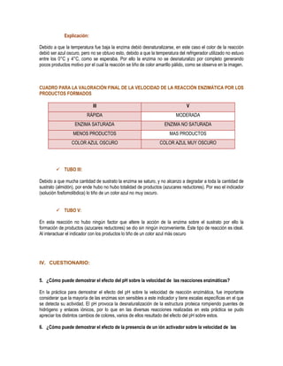 Explicación:
Debido a que la temperatura fue baja la enzima debió desnaturalizarse, en este caso el color de la reacción
debió ser azul oscuro, pero no se obtuvo esto, debido a que la temperatura del refrigerador utilizado no estuvo
entre los 0°C y 4°C, como se esperaba. Por ello la enzima no se desnaturalizo por completo generando
pocos productos motivo por el cual la reacción se tiño de color amarillo pálido, como se observa en la imagen.

CUADRO PARA LA VALORACIÓN FINAL DE LA VELOCIDAD DE LA REACCIÓN ENZIMÁTICA POR LOS
PRODUCTOS FORMADOS
III

V

RÁPIDA

MODERADA

ENZIMA SATURADA

ENZIMA NO SATURADA

MENOS PRODUCTOS

MAS PRODUCTOS

COLOR AZUL OSCURO

COLOR AZUL MUY OSCURO

 TUBO III:
Debido a que mucha cantidad de sustrato la enzima se saturo, y no alcanzo a degradar a toda la cantidad de
sustrato (almidón), por ende hubo no hubo totalidad de productos (azucares reductores). Por eso el indicador
(solución fosfomolibdica) lo tiño de un color azul no muy oscuro.
 TUBO V:
En esta reacción no hubo ningún factor que altere la acción de la enzima sobre el sustrato por ello la
formación de productos (azucares reductores) se dio sin ningún inconveniente. Este tipo de reacción es ideal.
Al interactuar el indicador con los productos lo tiño de un color azul más oscuro

IV. CUESTIONARIO:
5. ¿Cómo puede demostrar el efecto del pH sobre la velocidad de las reacciones enzimáticas?
En la práctica para demostrar el efecto del pH sobre la velocidad de reacción enzimática, fue importante
considerar que la mayoría de las enzimas son sensibles a este indicador y tiene escalas específicas en el que
se detecta su actividad. El pH provoca la desnaturalización de la estructura proteica rompiendo puentes de
hidrógeno y enlaces iónicos, por lo que en las diversas reacciones realizadas en esta práctica se pudo
apreciar los distintos cambios de colores, varios de ellos resultado del efecto del pH sobre estos.
6. ¿Cómo puede demostrar el efecto de la presencia de un ión activador sobre la velocidad de las

 