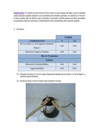Explicación: El cambio de color del tubo III de incoloro a azul-violáceo se debe a que el indicador
usado (solución yodada) reacciono con la presencia del almidón (sustrato), en cambio en el tubo IV
el color amarillo claro se debió a que el indicador no encontró sustrato (porque se había convertido
en productos) sobre el cual actuar, manteniendo el color característico de la solución yodada.

3. Por último:

TUBOS
V

VI

1ml.

1ml.

1ml.

1ml.

Solución Fosfomolíbdica

1ml.

1ml.

Agua destilada

2ml.

2ml.

COMPONENTES

De los tubos I y II (respectivamente):
Etapa 1
Solución Cúprica alcalina
Hervir 8 minutos
Enfriar

3.1. Preparar los tubos V y VI con cada componente indicado (de los tubos I y II de la etapa 1 y
solución cúprica alcalina).
3.2. Poner los tubos a hervir en baño maría durante 8 minutos.

 