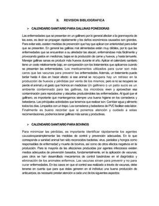II.   REVISION BIBLIOGRAFICA

    CALENDARIO SANITARIO PARA GALLINAS PONEDORAS

Las enfermedades que se presentan en un gallinero por lo general afectan a la granmayoría de
las aves, es decir se propagan rápidamente y los daños económicos causados son grandes.
Para evitar esto, existen medidas de prevención que hay que aplicar con anterioridad para evitar
que se presenten. En general las gallinas mal alimentadas están muy débiles, por lo que las
enfermedades que se encuentran a su alrededor las atacan, enfermándose más fácilmente y
provocando gastos en medicinas, bajas en la producción de carne y huevos, y hasta lamuerte.
Manejar gallinas sanas es producir más huevos durante el año. Aplicar el calendario sanitario
tiene un costo relativamente bajo, en comparación con los tratamientos que aplicamos cuando
se presentan las enfermedades. Los medicamentos utilizados para curar son más
caros que las vacunas para prevenir las enfermedades. Además, un tratamiento puede
tardar hasta 4 días en hacer efecto: si ese animal se recupera hay un retraso en la
producción de huevos y pérdidas por venta de los mismos; pero si no se recupera se
pierde el animal y el gasto que hicimos en medicinas Un gallinero o un patio sucio es un
ambiente contaminado para las gallinas, los microbios viven y aprovechan esa
contaminación para reproducirse y atacarlas produciéndoles las enfermedades. Al igual que el
gallinero, es importante que mantengamos siempre una buena higiene en los comederos y
bebederos. Las principales actividades que tenemos que realizar son: Cambiar agua y alimento
todos los días. Limpiarlos con un trapo. Los comederos y bebederos de PVC facilitan esta labor.
Finalmente es bueno recordar que si ponemos atención y cuidado a estas
recomendaciones, podremos tener gallinas más sanas y productivas.


    CALENDARIO SANITARIO PARA BOVINOS

Para minimizar las pérdidas, es importante identificar rápidamente los agentes
causalesparaimplementar las medidas de control y prevención adecuadas. En lo que
corresponde a sanidad animal han sido reconocidos bacterias, virus, parásitos y hongos como
responsables de enfermedad y muerte de bovinos, así como de otros efectos negativos en la
producción. Para la mayoría de las afecciones producidas por agentes infecciosos existen
medios adecuados de prevención basados, fundamentalmente, en la aplicación de vacunas;
para otros se han desarrollado mecanismos de control basándose en el diagnóstico y
eliminación de los animales enfermos. Las vacunas sirven para prevenir y no para
curar enfermedades. En los casos en que el control sea realizado a través de vacunas, debe
tenerse en cuenta que para que éstas generen en el individuo una buena producción de
anticuerpos, es necesario prestar atención a cada uno de los siguientes aspectos:
 