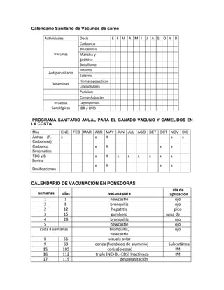 Calendario Sanitario de Vacunos de carne

       Actividades           Dosis           E F M A M J        J A S O N D
                             Carbunco
                             Brucellosis
               Vacunas       Mancha y
                             gaseosa
                             Botulismo
                             Interno
           Antiparasitario
                             Externo
                             Hematopoyeticos
              Vitaminas
                             Liposolubles
                             Paricion
                             Campylobacter
               Pruebas       Leptopirosis
              Serológicas    IBR y BVD

PROGRAMA SANITARIO ANUAL PARA EL GANADO VACUNO Y CAMELIDOS EN
LA COSTA

Mes                ENE. FEB MAR ABR MAY JUN JUL AGO SET OCT NOV DIC
Ántrax (F.         x            x   X                       x   x
Carbonosa)
Carbunco                           x     X                               x     x
Sintomático
TBC y B                            x     X     x     x     x         x   x     x
Bovina
                                   x     X                               x     x
Dosificaciones


CALENDARIO DE VACUNACION EN PONEDORAS
                                                                                vía de
   semanas     días                         vacuna para                        aplicación
      1         1                            newcastle                            ojo
      2         8                            bronquitis                           ojo
      2         12                            hepatitis                          pico
      3         15                            gumboro                        agua de
      4         28                           bronquitis                      bebida
                                                                                  ojo
      5                                      newcastle                            ojo
    cada 4 semanas                           bronquitis,                          ojo
                                             newcastle
      8             56                      viruela aviar
      9             63             coriza (hidróxido de aluminio)             Subcutánea
      15            105                    coriza(oleosa)                        IM
      16            112            triple (NC+BL+EDS) Inactivada                 IM
      17            119                            desparasitación
 