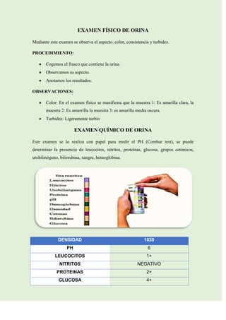 EXAMEN FÍSICO DE ORINA
Mediante este examen se observa el aspecto, color, consistencia y turbidez.
PROCEDIMIENTO:
Cogemos el frasco que contiene la orina.
Observamos su aspecto.
Anotamos los resultados.
OBSERVACIONES:
Color: En el examen físico se manifiesta que la muestra 1: Es amarilla clara, la
muestra 2: Es amarrilla la muestra 3: es amarilla media oscura.
Turbidez: Ligeramente turbio

EXAMEN QUÍMICO DE ORINA
Este examen se lo realiza con papel para medir el PH (Combur test), se puede
determinar la presencia de leucocitos, nitritos, proteínas, glucosa, grupos cetónicos,
urobilinógeno, bilirrubina, sangre, hemoglobina.

DENSIDAD

1020

PH

6

LEUCOCITOS

1+

NITRITOS

NEGATIVO

PROTEINAS

2+

GLUCOSA

4+

 