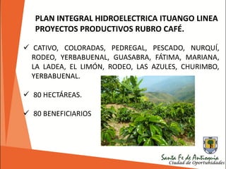 PLAN INTEGRAL HIDROELECTRICA ITUANGO LINEA
PROYECTOS PRODUCTIVOS RUBRO CAFÉ.
 CATIVO, COLORADAS, PEDREGAL, PESCADO, NURQUÍ,
RODEO, YERBABUENAL, GUASABRA, FÁTIMA, MARIANA,
LA LADEA, EL LIMÓN, RODEO, LAS AZULES, CHURIMBO,
YERBABUENAL.
 80 HECTÁREAS.
 80 BENEFICIARIOS
 