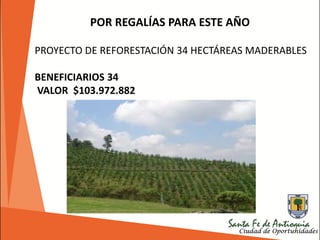 POR REGALÍAS PARA ESTE AÑO
PROYECTO DE REFORESTACIÓN 34 HECTÁREAS MADERABLES
BENEFICIARIOS 34
VALOR $103.972.882
 