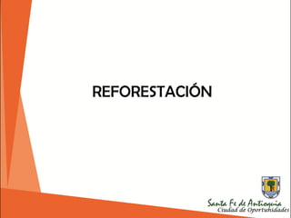 REFORESTACIÓN
 