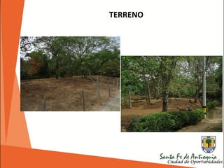 TERRENO
 