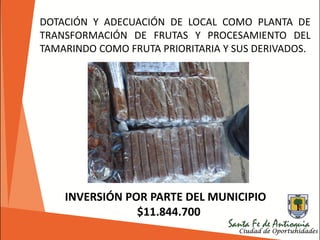 DOTACIÓN Y ADECUACIÓN DE LOCAL COMO PLANTA DE
TRANSFORMACIÓN DE FRUTAS Y PROCESAMIENTO DEL
TAMARINDO COMO FRUTA PRIORITARIA Y SUS DERIVADOS.
INVERSIÓN POR PARTE DEL MUNICIPIO
$11.844.700
 